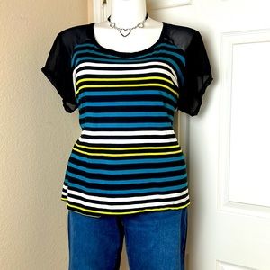 Striped Mesh Sleeve Top